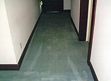 洗浄後のカーペット