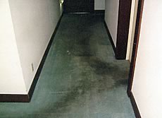 洗浄前のカーペット