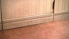 クリーニング施行前