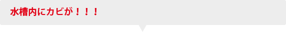 水の中に小さな虫が！！！